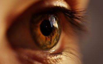 benjamin kurtz academy seminare coaching onlinetrainings foto-marc-schulte-KJCyvlA_aAQ-unsplash benjamin kurtz academy seminare coaching onlinetrainings foto-marc-schulte-KJCyvlA_aAQ-unsplash